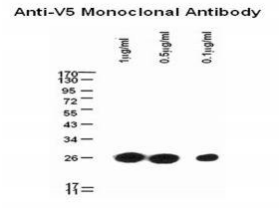 5f6182427698f.png image.png