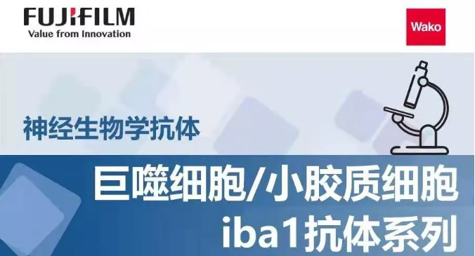 6013be0240459.png image.png