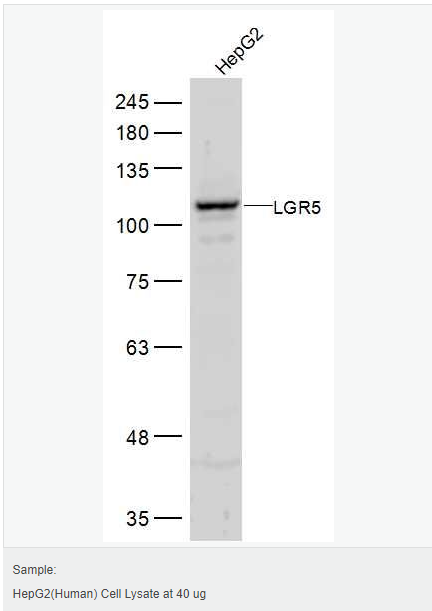 605412d633d1b.png image.png