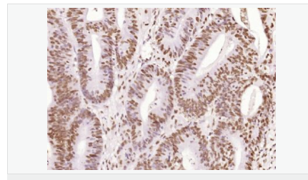 605460b54fd1e.png image.png