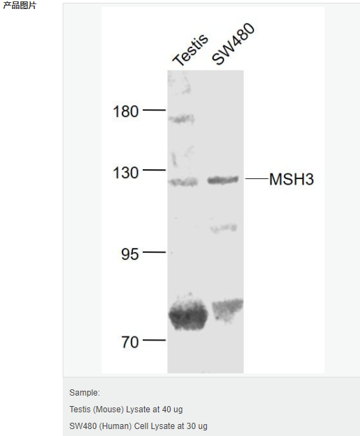 60582c386a343.png image.png