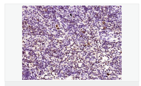 605852c81673c.png image.png