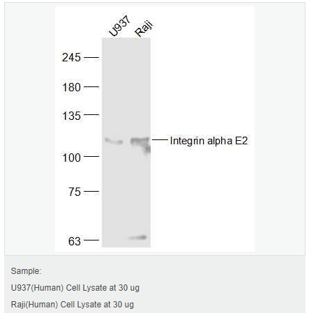 605943f4848fa.png image.png