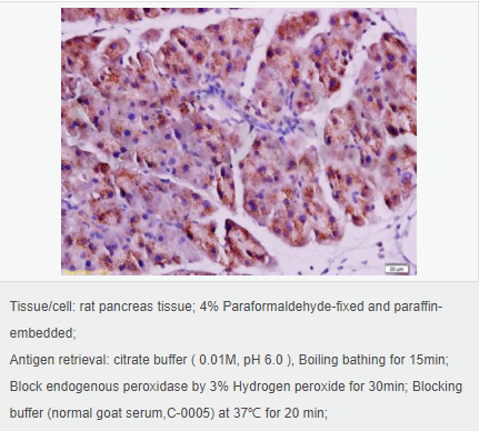 60594e98972f8.png image.png