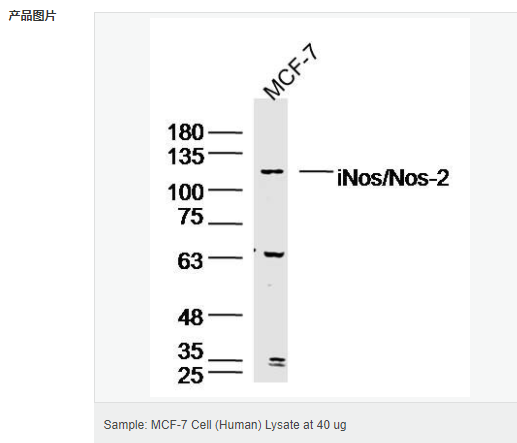 60595cd00a5ba.png image.png