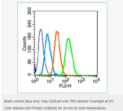 60595cf4437d2.png image.png