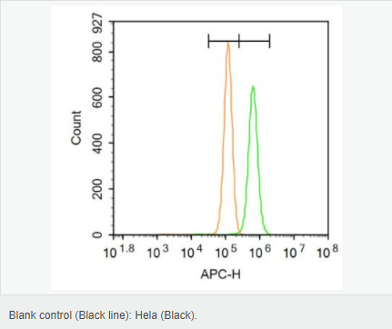 60595d5c590b2.png image.png