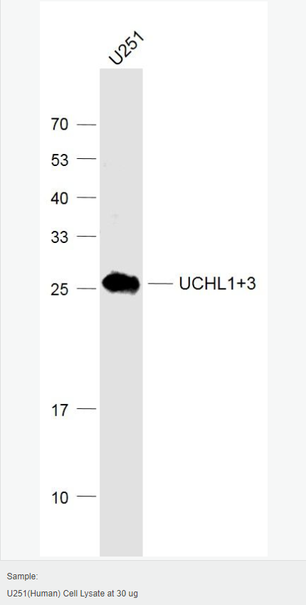 60596134291c6.png image.png