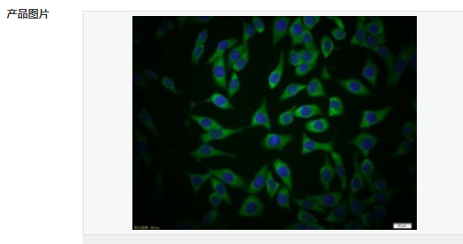 605acc40d2017.png image.png