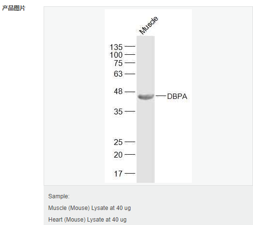 605d88fa70162.png image.png