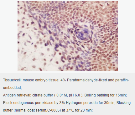 605d8919b48d5.png image.png