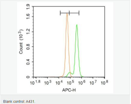 60616ec39c385.png image.png