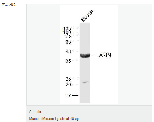 6063e3e67fe4d.png image.png