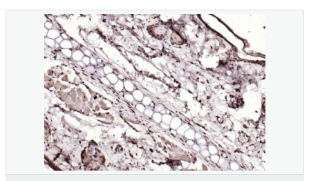 6066d48404a0a.png image.png