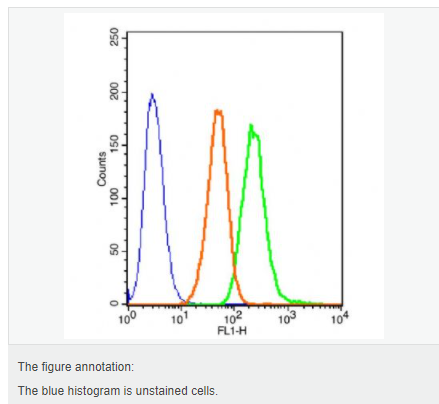 607640d098757.png image.png