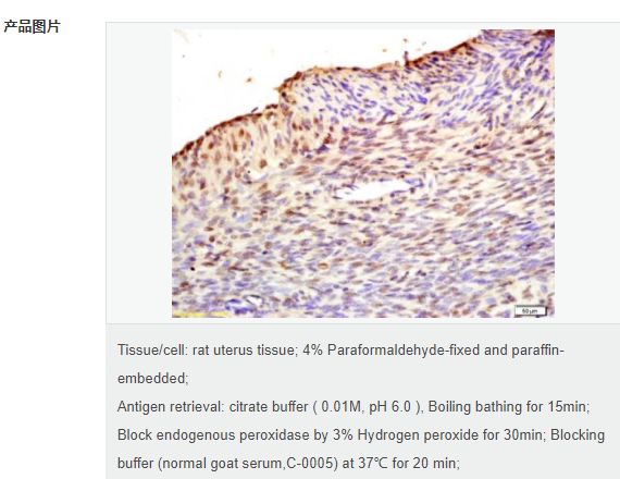 60766027596fb.png image.png