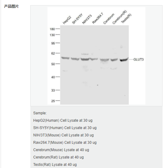 6079551c388ba.png image.png