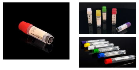 66cc29373860a.png image.png