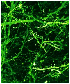 67ab0840d1e46.png image.png