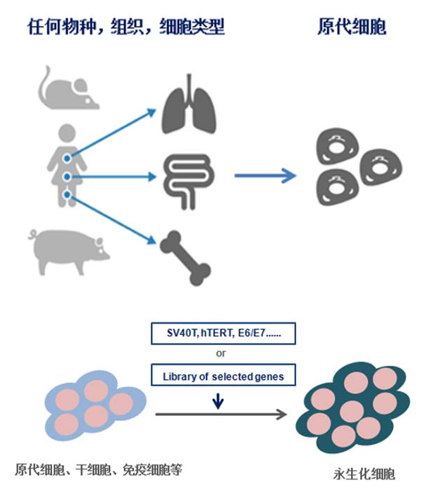 68ea0e33dbdc3.png image.png